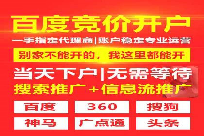 SEM托管公司案例研究：优化策略解析